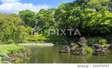 駿河城の紅葉山庭園の夏 130479747