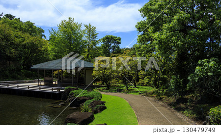 駿河城の紅葉山庭園の夏 130479749