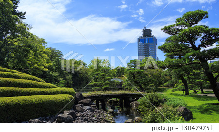 駿河城の紅葉山庭園の夏 130479751