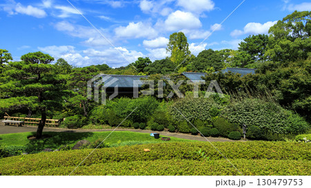 駿河城の紅葉山庭園の夏 駿河城の紅葉山庭園の夏 130479753