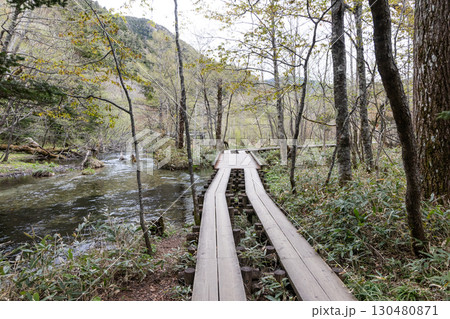 The naturally scenic elevated wooden hiking path in Kamikochi, part of Chubu Sangaku National Park in Japan The naturally scenic elevated wooden hiking path in Kamikochi, part of Chubu Sangaku National Park in Japan 130480871