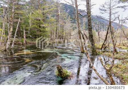 The Dakesawa marsh is one of the most scenic areas of Kamikochi, Japan The Dakesawa marsh is one of the most scenic areas of Kamikochi, Japan 130480873