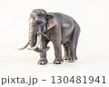 asian elephant on isolated background 130481941