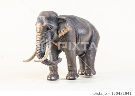 asian elephant on isolated background asian elephant on isolated background 130481941