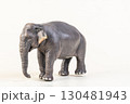 asian elephant on isolated background 130481943