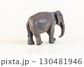 asian elephant on isolated background 130481946