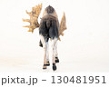 reindeer animal on isolated background 130481951