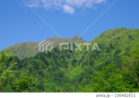 愛媛県新居浜市　大永山トンネル付近から見た景色 130482011