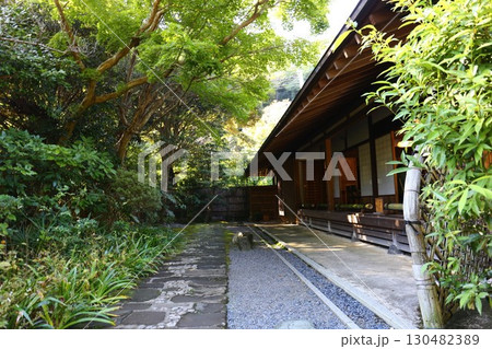 鎌倉にある臨済宗建長寺派浄明寺の客殿 鎌倉にある臨済宗建長寺派浄明寺の客殿 130482389