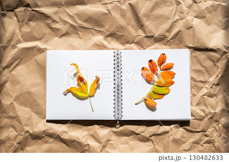 Open notebook with two colorful autumn leaves on white page. Open notebook with two colorful autumn leaves on white page. 130482633