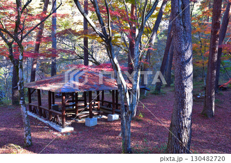 秋　昇仙峡　天鼓林 130482720