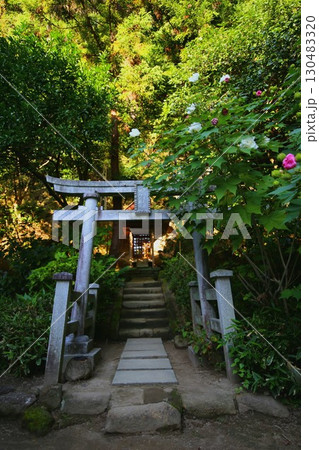 鎌倉最古の寺である杉本寺の権現堂 130483320