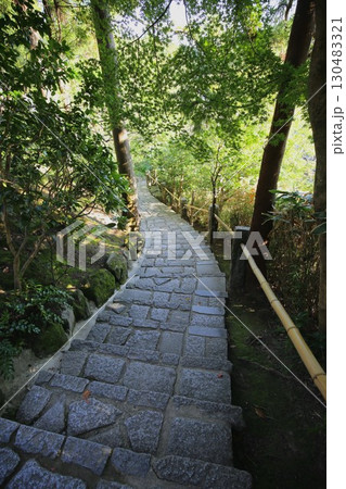鎌倉最古の寺である杉本寺の参道 130483321