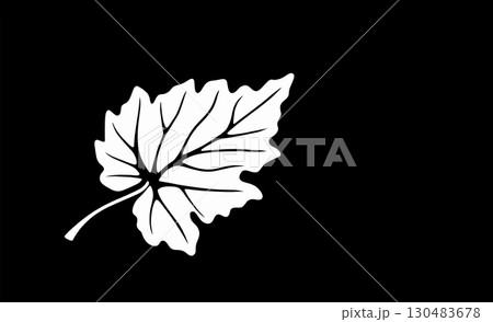 vector stylized white grape leaf on black background vector stylized white grape leaf on black background 130483678