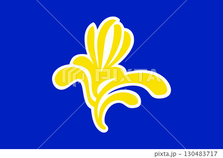 Flag of the Brussels-Capital Region (1991 2015) Flag of the Brussels-Capital Region (1991 2015) 130483717