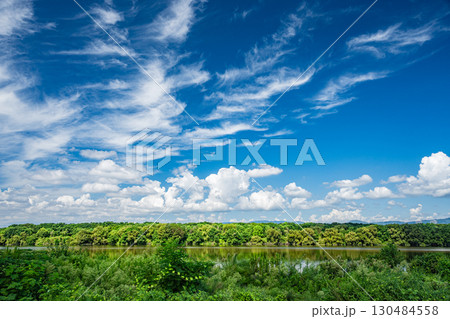 淀川夏景色　枚方市 130484558