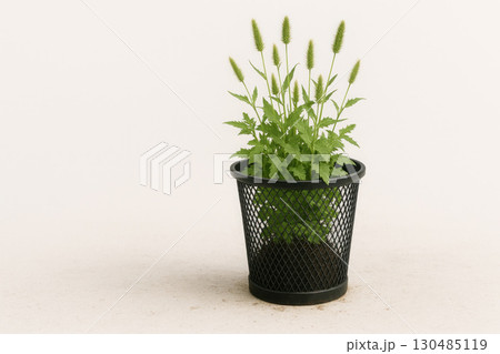 A houseplant in an office trash can. Space for text. 130485119