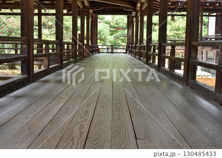 夏の大覚寺 村雨の廊下(京都市右京区) 夏の大覚寺 村雨の廊下(京都市右京区) 130485433