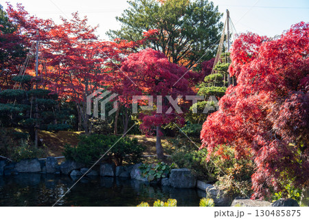 北海道の秋の日本庭園-紅葉- 130485875