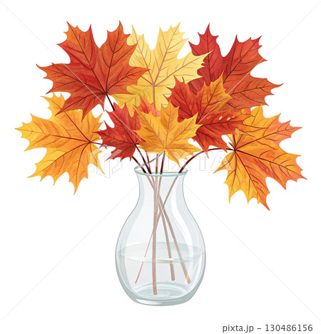 glass vase filled with vibrant autumn maple leaves White Background 130486156
