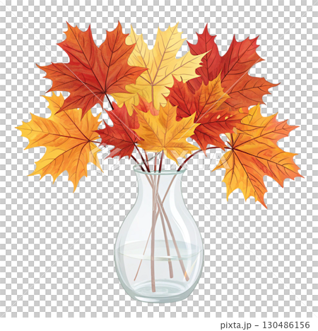 glass vase filled with vibrant autumn maple leaves White Background 130486156