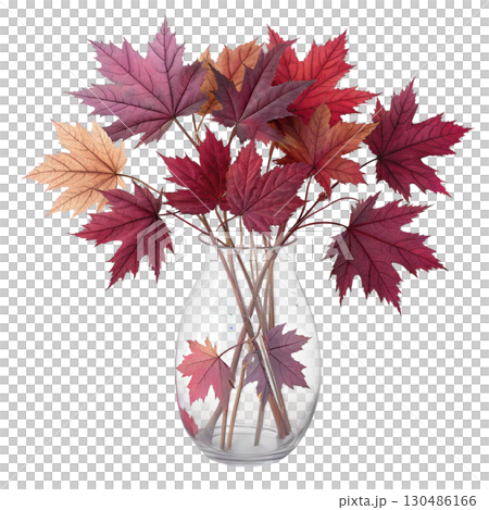 glass vase filled with vibrant autumn maple leaves White Background 130486166