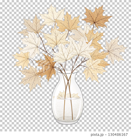 glass vase filled with vibrant autumn maple leaves White Background 130486167