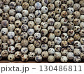 full frame background texture of colorful quail eggs lying close to each other in a checkerboard pattern, flat lay, domestic quail hatching eggs stacked in an incubator tray, top view 130486811