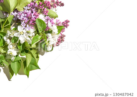 Spring floral arrangement with lilac and apple blossoms on white background Spring floral arrangement with lilac and apple blossoms on white background 130487042