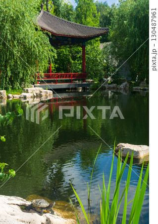 turtle resting on the bank of a pond in an oriental garden, gazebo in the background 130487961