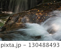 渓流と岩肌に貼りつく落葉（龍頭八重滝県立自然公園） 130488493