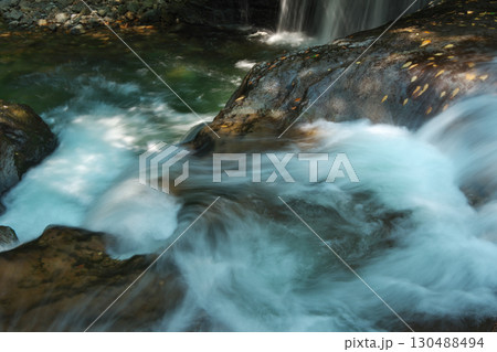 渓流と岩肌に貼りつく落葉（龍頭八重滝県立自然公園） 130488494