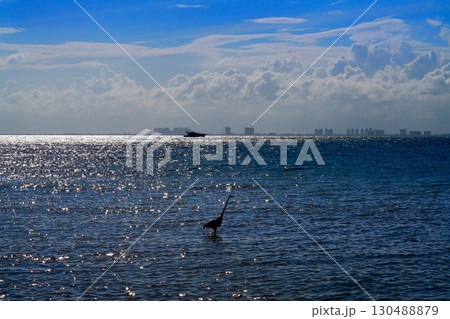 Cancun hotel zone from Isla Mujeres island Cancun hotel zone from Isla Mujeres island 130488879