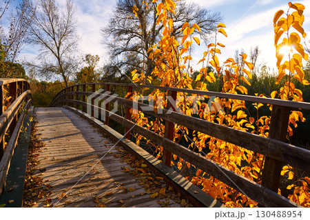 Sunset autumn wood bridge Parque de Turia Sunset autumn wood bridge Parque de Turia 130488954