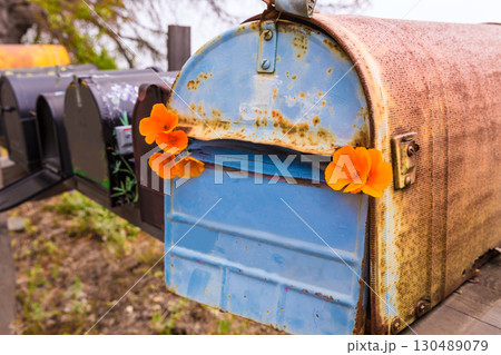 California poppy grunge mailboxes along Pacific Highway Route 1 130489079