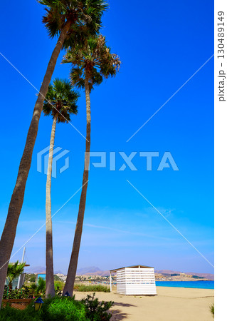 Costa Calma beach of Jandia Fuerteventura 130489149
