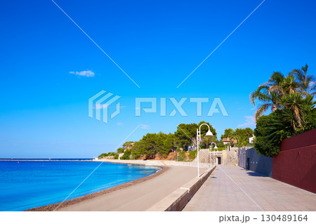Denia palm trees in Marineta Casiana beach Denia palm trees in Marineta Casiana beach 130489164