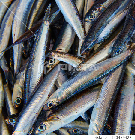 Anchovies fresh fish in the fish market Anchovies fresh fish in the fish market 130489427