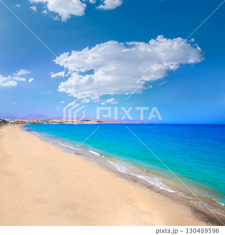Costa Calma beach of Jandia Fuerteventura 130489596