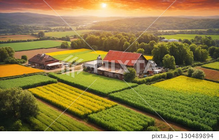 夕日に照らされる畑 130489894