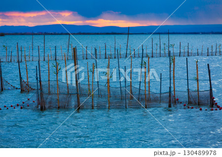 Albufera sunset lake park in Valencia el saler Spain 130489978