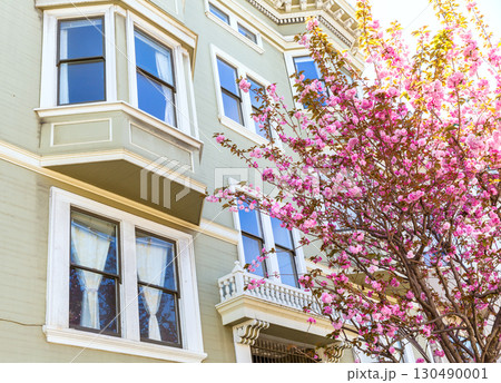 San Francisco Victorian houses California 130490001