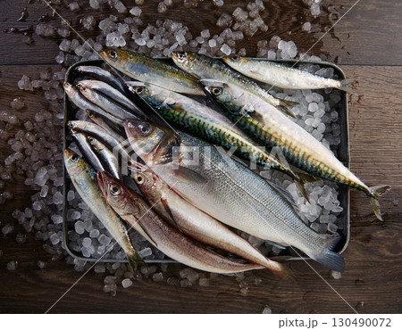Fresh fish hake seabass sardine mackerel anchovies Fresh fish hake seabass sardine mackerel anchovies 130490072