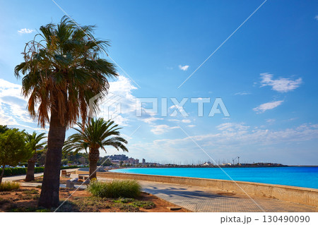 Denia palm trees in Marineta Casiana beach Denia palm trees in Marineta Casiana beach 130490090