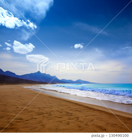 Cofete Fuerteventura beach at Canary Islands 130490100