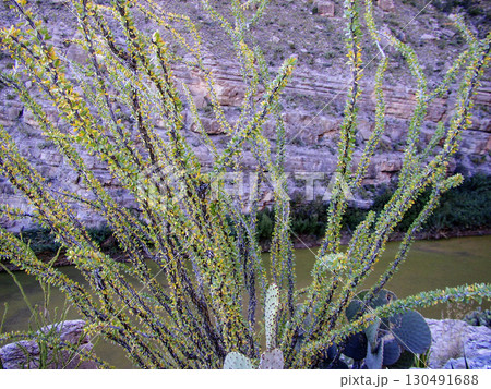 Santa Elena Canyon, Big Bend National Park, Texas 130491688