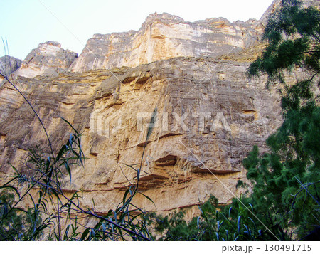 Santa Elena Canyon, Big Bend National Park, Texas 130491715