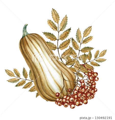 Autumn composition with pumpkin and mountain ash. Hand-drawn watercolor illustration. For greeting and invitation cards, posters and prints. For packaging and labels, autumn holidays design and more. 130492191