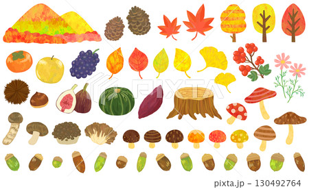 秋の植物・食べ物のイラストセット 130492764