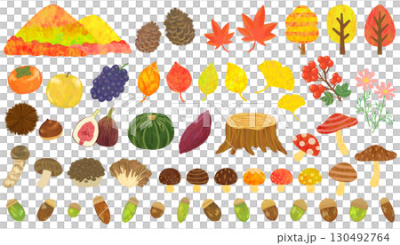 秋の植物・食べ物のイラストセット 130492764